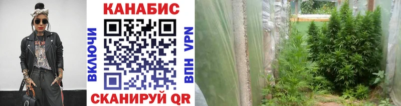 Сколько стоит Высоковск A-PVP Cocaine ОМГ ОМГ ссылка Вейп ТГК Бошки Шишки Мефедрон