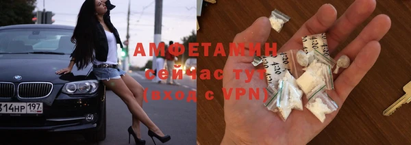 прущие грибы Сосновый Бор