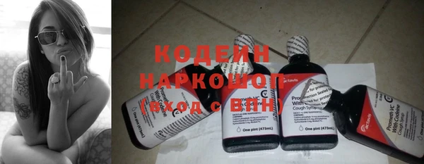 шишки Белоозёрский