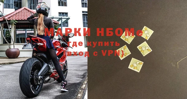 шишки Белоозёрский