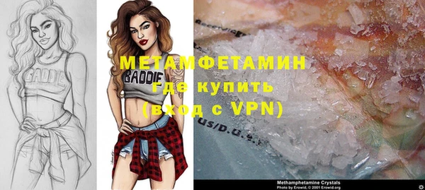 шишки Белоозёрский