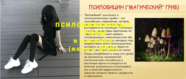 шишки Белоозёрский