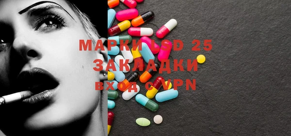 шишки Белоозёрский