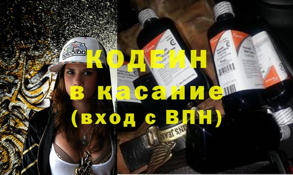 шишки Белоозёрский