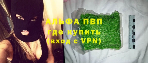 шишки Белоозёрский
